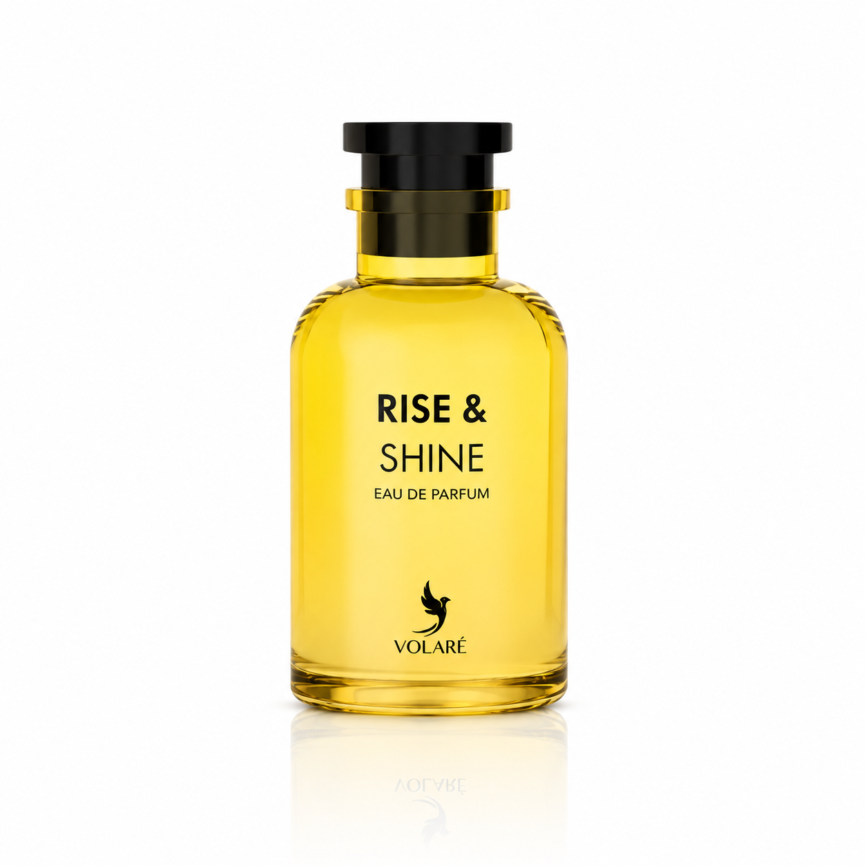 Rise &amp; Shine - Volaré