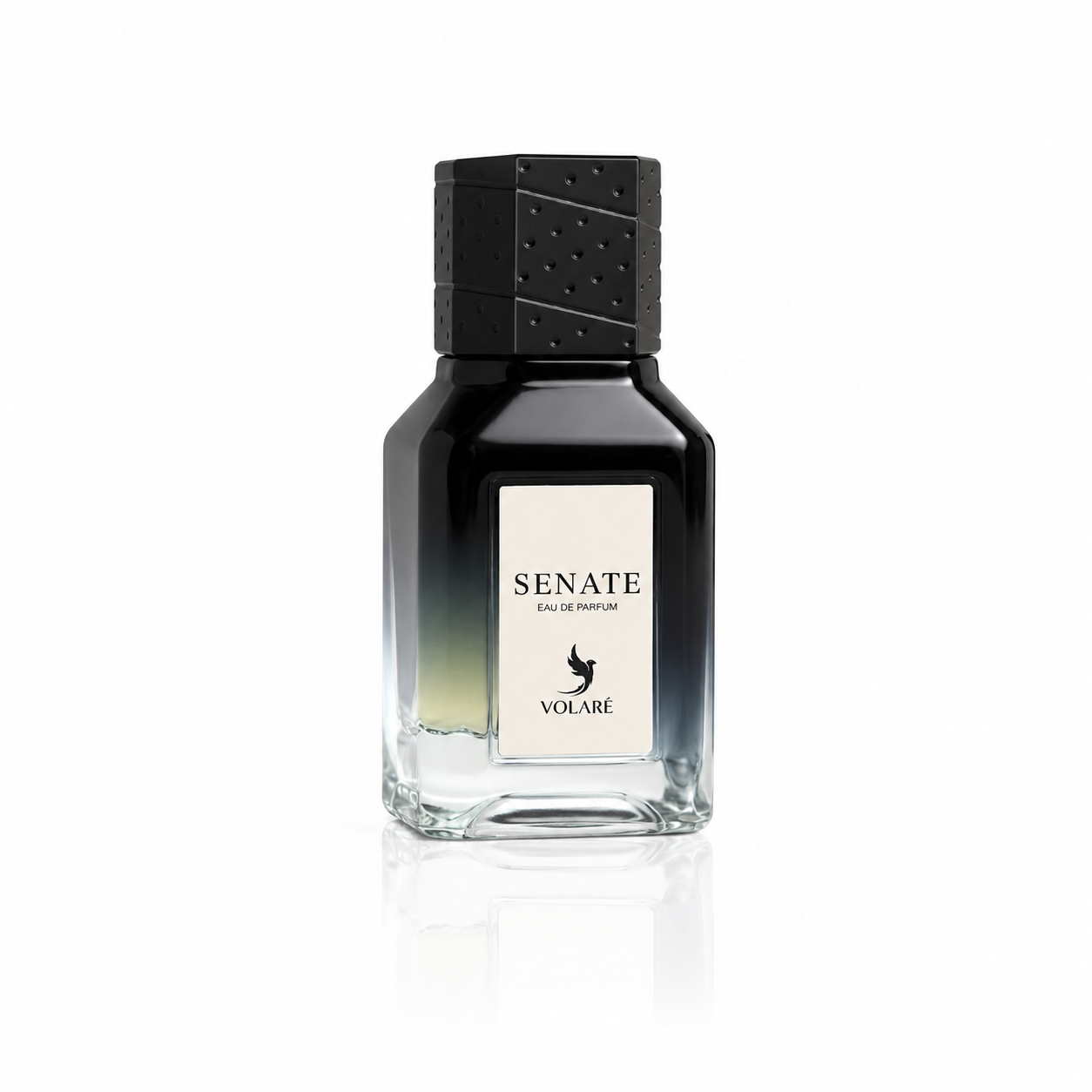 Schwarzes Leder - 25 ml - Volaré