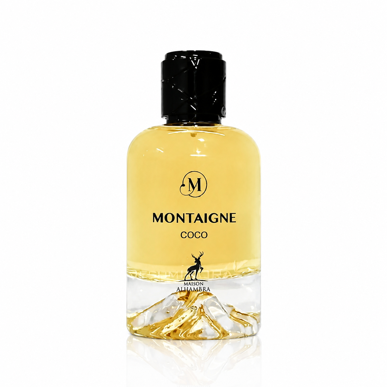 Coco Montaigne